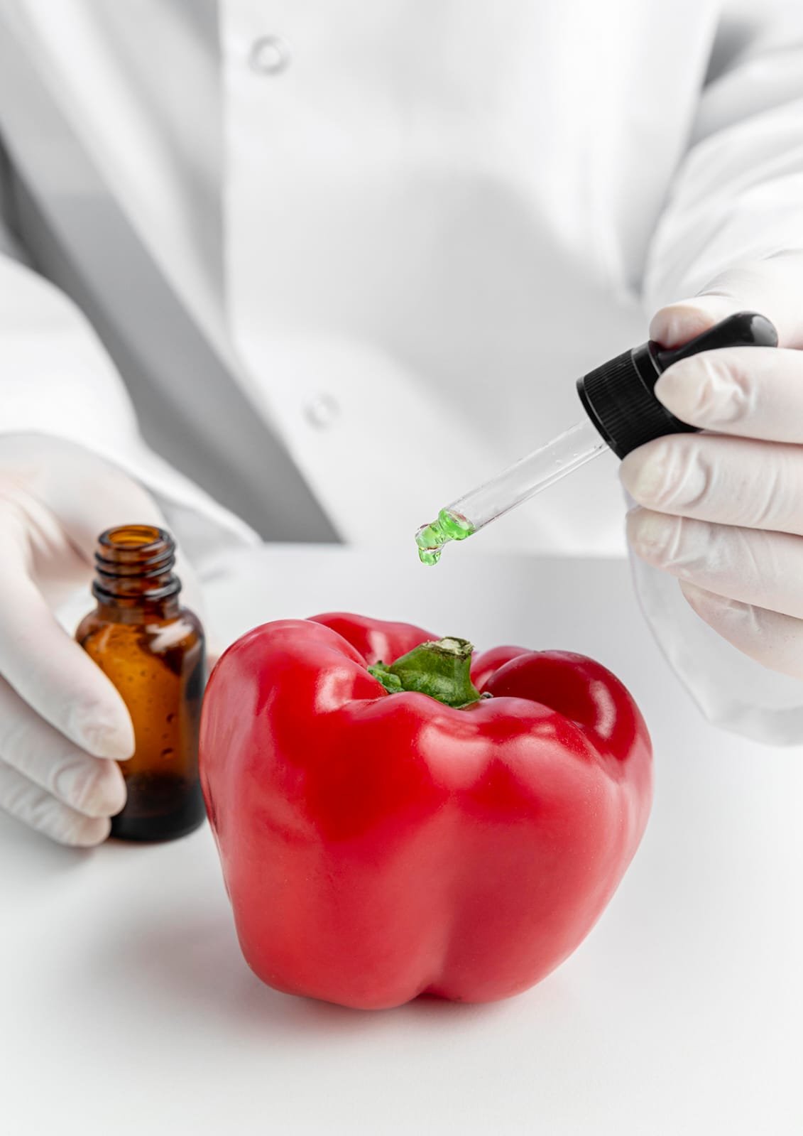 Academixs Journal of Nutrition & Food Science